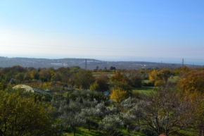 Terra del Carso